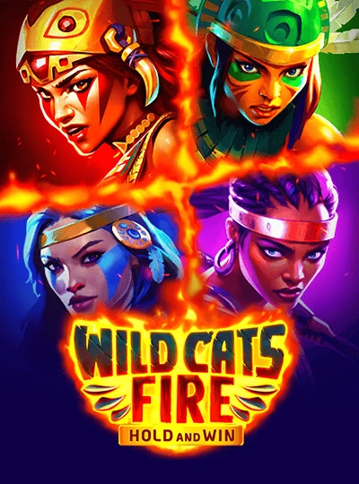 Video slot game cover with bonus features